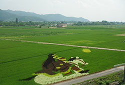 photo03