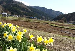 photo02