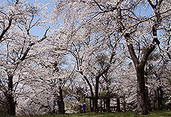 photo01