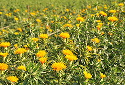 photo04